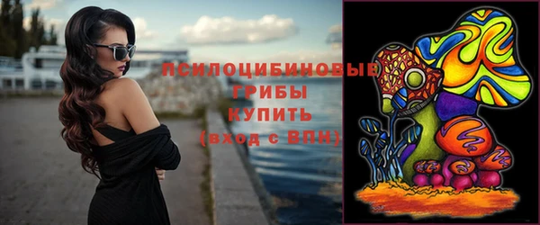 таблы Новодвинск
