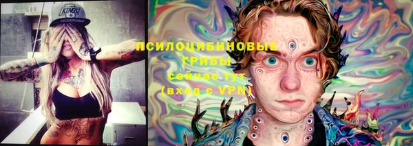 таблы Новодвинск