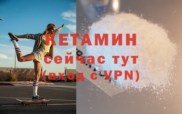 таблы Новодвинск