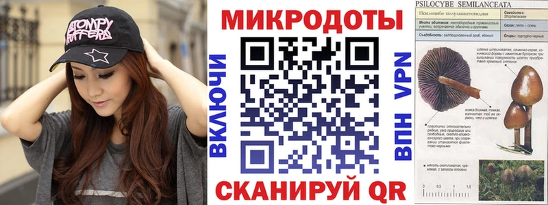 Псилоцибиновые грибы Psilocybe  наркошоп  Катав-Ивановск 